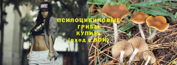 дживик Алексеевка