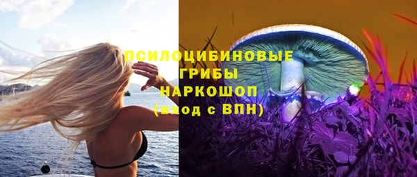 дживик Алексеевка