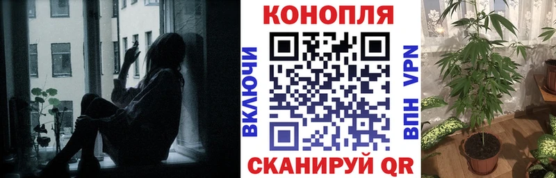 Канабис VHQ MEGA Алексеевка